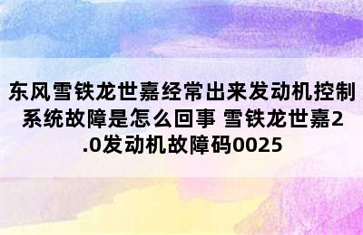 东风雪铁龙世嘉经常出来发动机控制系统故障是怎么回事 雪铁龙世嘉2.0发动机故障码0025